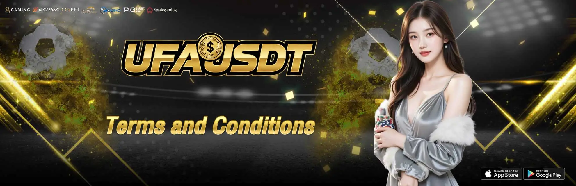 Terms and Conditions